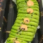 Avocat Roll